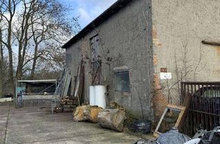 Immobilie kaufen in 23974 Neuburg, landwirtschaftliches Grundstück mit Stall