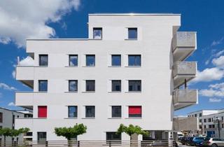 Wohnung mieten in 38446 Reislingen, Exklusives Penthaus mit Dachterrasse und moderner Einbauküche – Willkommen im Weidenplan der Steimke