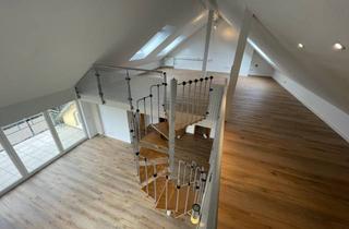 Wohnung mieten in 56567 Neuwied, Lichtdurchflutete frisch renovierte Galerie-Wohnung mit Einbauküche und Dachterrasse