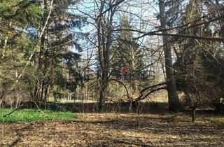 Grundstück zu kaufen in 09456 Annaberg-Buchholz, Idyllisches Waldgrundstück am Fuße des Pöhlberges