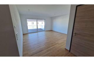 Wohnung mieten in Krumbacher Str. 64a, 87719 Mindelheim, Erstbezug einer gemütlichen 2 Zimmerwohnung incl. Balkon und breitem Tiefgaragenplatz