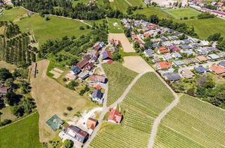 Haus kaufen in 77880 Sasbach, Mietfreies MFH (3-5 Whg.) mit Nebengebäuden + Garagen + Garagen