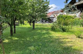 Haus kaufen in 75056 Sulzfeld, Sulzfeld - Ihre Familie wird den Garten lieben...