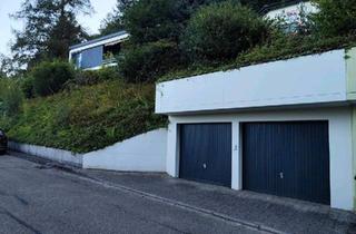 Wohnung kaufen in 79183 Waldkirch, Waldkirch - 3-Zimmer Wohnung mit besten Ausblick in Waldkirch