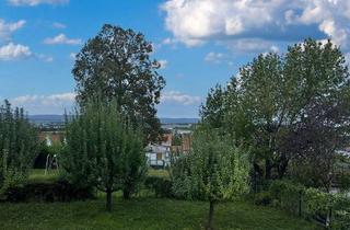 Wohnung kaufen in 61118 Bad Vilbel, Modern // sonnig und hell // riesige Terrasse // ruhig // Fernblick