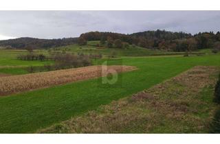 Grundstück zu kaufen in 79350 Sexau, EIN FELD MIT SCHÖNSTER AUSSICHT