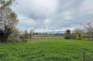 Grundstück zu kaufen in 88709 Meersburg, Tolles Grundstück mit Seeblick!