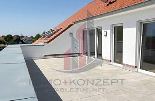 Wohnung kaufen in 32312 Lübbecke, Lübbecke - Moderne Neubauwohnung in Lübbecke - Erstbezug - 124 qm - Südterrasse