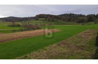 Grundstück zu kaufen in 79350 Sexau, Sexau - EIN FELD MIT SCHÖNSTER AUSSICHT