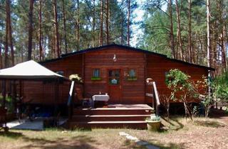 Einfamilienhaus kaufen in 15913 Märkische Heide, Märkische Heide - Holzhaus, Naturhaus, Massivholzhaus, Blockbohlenhaus, Tinyhaus