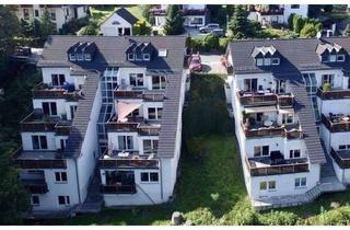 Wohnung mieten in Hollerberg 18, 08340 Schwarzenberg, Zwei Zimmer Wohnung mit großer Terrasse und tollem Weitblick