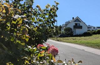 Haus kaufen in 54453 Nittel, Nittel - Energetisch saniertes Zweifamilienhaus mit Moselblick!