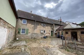 Mehrfamilienhaus kaufen in 06198 Salzmünde, Ihr Investment in ein Mehrfamilienhaus mit großem Potenzial und attraktiven Fördermöglichkeiten