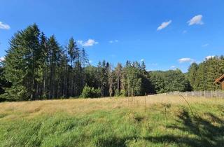 Grundstück zu kaufen in Triftstraße, 76848 Wilgartswiesen, Feriengrundstück/Wochenendgrundstück für bis zu drei Ferienhäuser in Traumlage am Waldrand