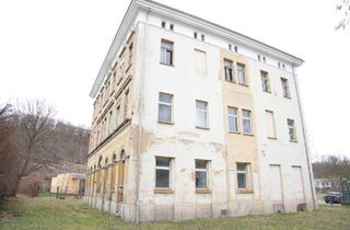 Villa kaufen in 07973 Greiz, Greiz - Denkmalgeschützte Villa