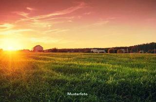 Grundstück zu kaufen in Oberholz U.a., 97469 Gochsheim, Land- und Forstwirtschaftsfläche - provisionsfrei