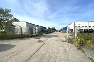 Gewerbeimmobilie kaufen in 06792 Sandersdorf, Vielseitiges Gewerbegrundstück mit rund 46.000 m² in Sandersdorf-Brehna