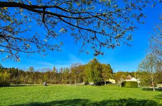 Haus kaufen in 01904 Steinigtwolmsdorf, Viel Platz in ländlicher Idylle!