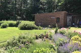 Haus kaufen in 23845 Seth, Liebevoll modernisiertes Landhaus m. 2 Wohneinheiten u. vielseitigem Potenzial, energetisch saniert