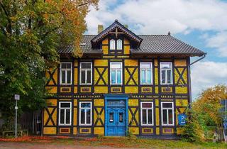 Anlageobjekt in 31185 Söhlde, Einzigartige Atmosphäre: Fachwerkvilla zwischen Tradition und Moderne mit weitläufigem Garten