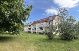 Wohnung mieten in An Der Petergrube, 04552 Borna, Wohnen in ruhiger, grüner Lage - Schicke u. frisch renovierte 2-Zi.-Single-Whg. mit Balkon