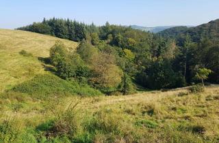 Grundstück zu kaufen in 56112 Lahnstein, 38.000 m² Eigenland im Außenbereich mit bebaubaren Flächen