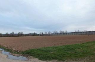 Gewerbeimmobilie kaufen in Gregor-Mendel-Straße, 53881 Euskirchen, Ein topp Inflationsschutz, attraktive landwirtschaftliche Fläche in Niederkastenholz...