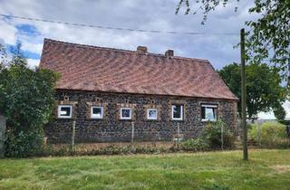 Einfamilienhaus kaufen in 04509 Delitzsch, Delitzsch - Einfamilienhaus b. Leipzig Halle Delitzsch - Privatverkauf