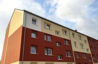 Wohnung mieten in Birkenstraße 4b, 14550 Groß Kreutz, Schöne 3,5-Raum-Whg. mit Balkon im Zentrum von Groß Kreutz zu vermieten