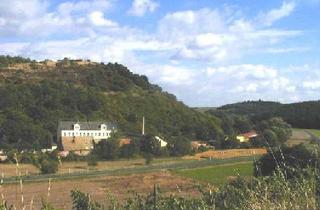 Wohnung mieten in 55546 Neu-Bamberg, Wohnen im schlossähnlichem Ambiente !