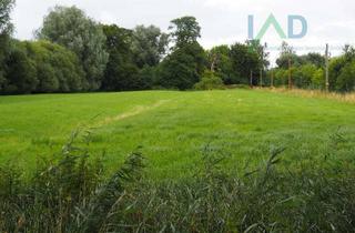 Bauernhaus kaufen in 25379 Herzhorn, Großes Bauernhaus in Alleinlage - Pferdehaltung möglich