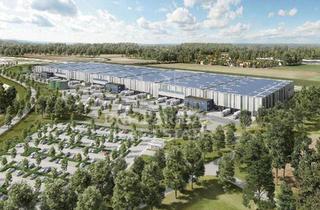 Gewerbeimmobilie mieten in 27404 Elsdorf, 10.000 - 30.000 m² WGK-Lager - Sofort Verfügbar