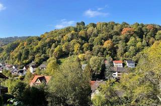 Grundstück zu kaufen in 69250 Schönau, Baugrundstück in Schönau mit tollem Ausblick