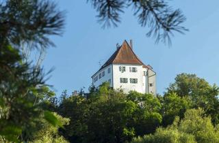 Büro zu mieten in Am Schloßberg, 93149 Nittenau, Büroflächen im Grünen mit unglaublichem Ausblick