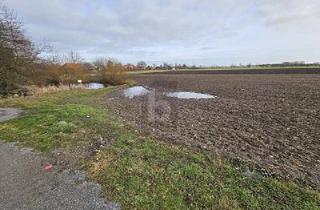 Grundstück zu kaufen in 23769 Fehmarn, GROßZÜGIGE BAUFLÄCHE NAHE DER OSTSEE MIT TEICH