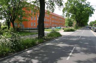 Wohnung mieten in Ernst-Thälmann-Straße 106, 01968 Senftenberg, gemütliche Wohnung mit Balkon sucht neuen Mieter