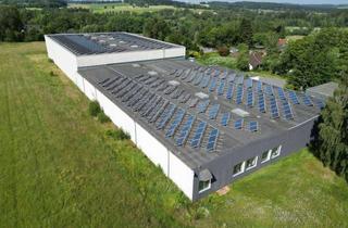 Gewerbeimmobilie kaufen in 95234 Sparneck, energieeffizient, vielseitiges Gewerbeareal