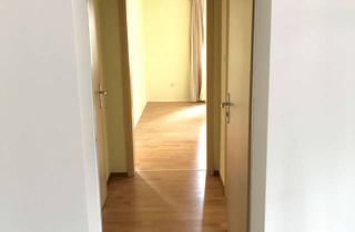 Wohnung mieten in Zum Sundern, 38536 Meinersen, Sanierte EG-Wohnung mit zwei Zimmern in Meinersen