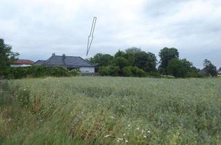 Grundstück zu kaufen in 06463 Ermsleben, Auktion - vermietetes Gartengrundstück hinter Wohnbebauung in 06463 Ermsleben