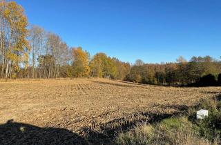 Grundstück zu kaufen in 95671 Bärnau, Verpachtete Ackerfläche am Ortseingang Heimhof bei Bärnau - gute Zufahrt