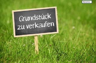 Grundstück zu kaufen in 54669 Bollendorf, Land- / Forstwirtschaft in 54669 Bollendorf, Hinterm Mehrenkopf