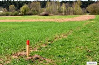 Grundstück zu kaufen in 02991 Lauta, Land- / Forstwirtschaft in 02991 Lauta, Leippe