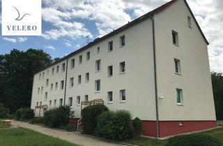 Wohnung mieten in Hauschildstraße, 04703 Leisnig, Gemütliche 2-Raumwohnung im Dachgeschoss mit EINBAUKÜCHE