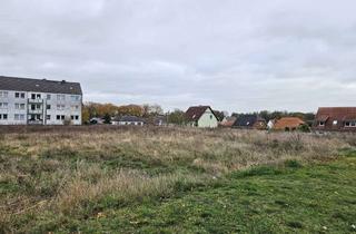 Haus kaufen in Hohes Feld, 39624 Kalbe, Mit Grundstück, ein Haus mit Charme in Kalbe.