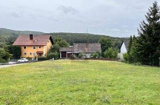 Grundstück zu kaufen in 93142 Maxhütte-Haidhof, Maxhütte-Haidhof - RUHIG UND FLEXIBEL BEBAUBAR AM HANG