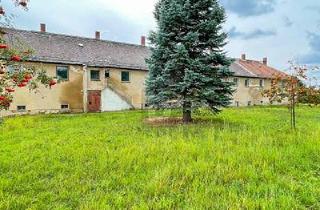 Mehrfamilienhaus kaufen in 04720 Döbeln, Döbeln - 8 WOHNEINHEITEN - RIESEN-SÜDDACH FÜR SOLAR