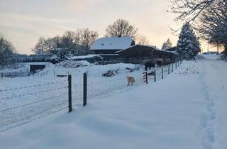 Bauernhaus kaufen in 51570 Windeck, Windeck - BAUERNHOF PFERDEHOF 4 HEKTAR PERFEKTES LEBEN MIT TIEREN