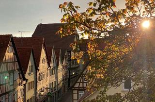 Wohnung mieten in 74206 Bad Wimpfen, Charmante 3,5-Zimmer-Wohnung im Herzen der Bad Wimpfener Altstadt