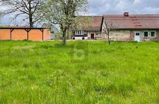 Einfamilienhaus kaufen in 04895 Falkenberg, Falkenberg/Elster - GEWERBE & WOHNEN MIT KÜHLHAUS & DOPPELGARAGE