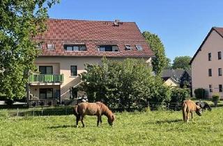 Mehrfamilienhaus kaufen in 09247 Chemnitz, Chemnitz - 5 % RENDITE OHNE WEITERE INVESTITIONEN